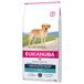 Eukanuba Labrador Retriever Adult hondenvoer 2 x 12 kg
