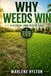 Why Weeds Win: A Florida Lawn Rescue Guide