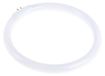 Accessoires RS Pro Accessoires voor vergrootglas, Mini Round Magnifier
