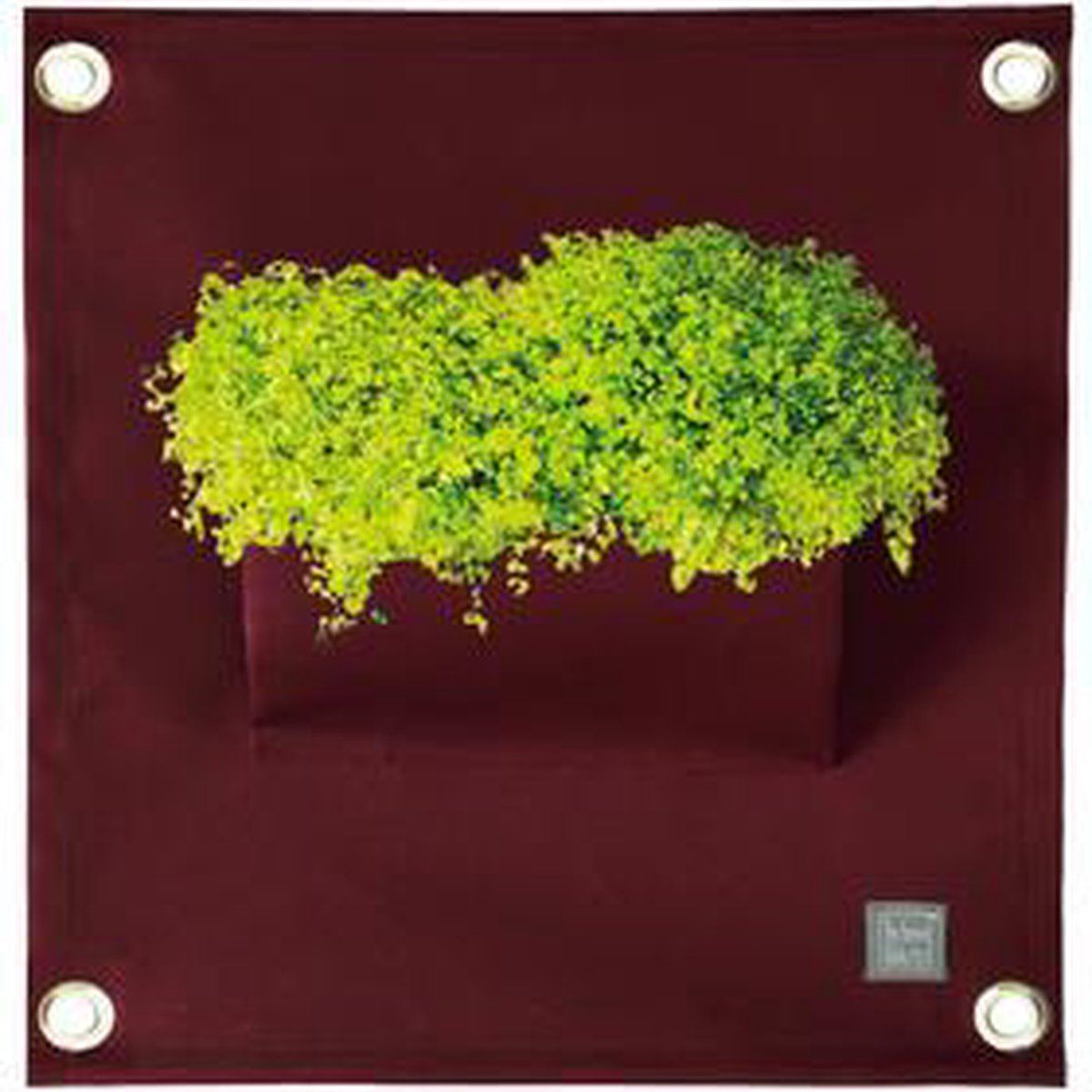 Bloomingwalls Plantenbak The Green Pockets AMMA1 - Wijnrood