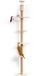 Merkloos / Sans marque PromoHome Krabpaal 4 Etages Plafondhoogte 206-274 cm Kattentoren met Hangmat, Beige