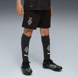 PUMA Sportbroek 'Borussia Mönchengladbach 25/26' zwart / wit