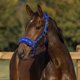 Horka Halster Plush | Mini Shetlander