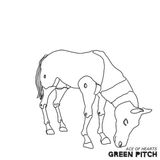Sonic Rendezvous Green Pitch - Ace Of Hearts (CD)