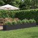 Prolenta Maison Exclusive - Jardinière surélevée pour jardin, couleur noire, dimensions 360 x 40 x 40 cm