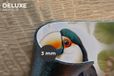 KitchenYeah Placemats - 6-Pack - 45x30 cm - Toucan - Floral - Vinyl - Washable