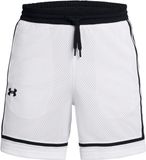 Under Armour Baselinche Pro Mesh Korte Broek Wit S Man
