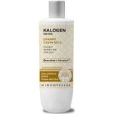 Hidrotelial Kalogen Champú Caspa Seca 400 ml