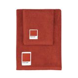 Pantone Badhanddoeken voor bad en bidet van badstof, 100% puur katoen, Öko-Tex-gecertificeerd, set handdoeken voor gezicht en gasten, 50 x 100 en 40 x 50 cm, zacht, absorberend