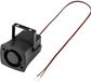 TRU COMPONENTS TC-9202104 Piëzo-signaal Geluidsontwikkeling: 105 dB Spanning: 12 V Sirenetoon 1 stuk(s)