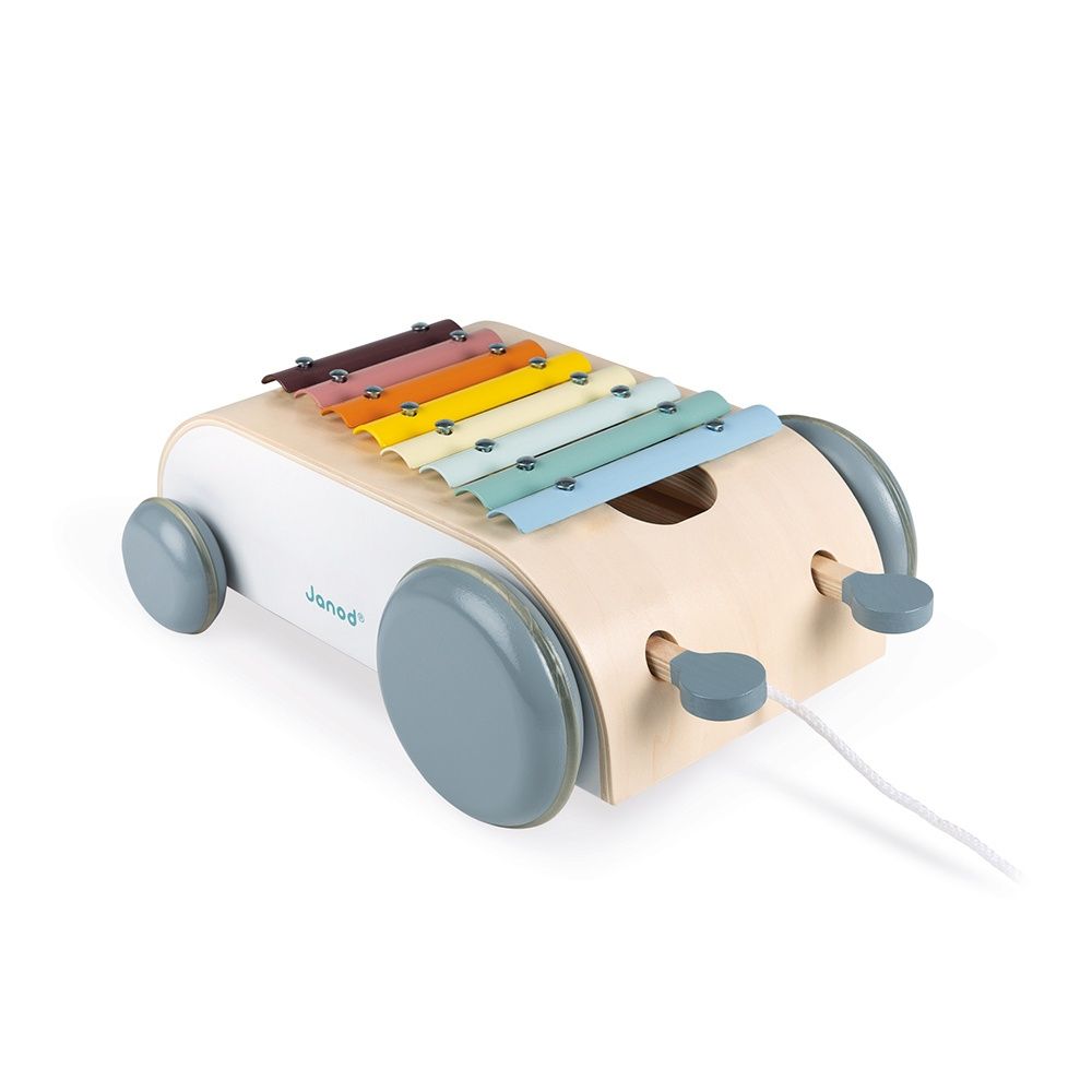 Janod J04406 - Muziekspeelgoed - Hout - Unisex