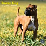 Baker & Bray Boxer Kalender 2026 Wandkalender Dieren NL