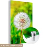 MuchoWow® Glass Painting 100x150 cm - Dandelion - Acrylic Glass - Landscape - Modern