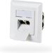 EFB-Elektronik Netwerkdoos CAT6a inbouw 2-voudig RJ45