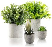 Ibenzoa® Set van 4 Kunstplanten met Realistisch Uiterlijk voor Binnenhuisdecoratie en Kantoorinrichting