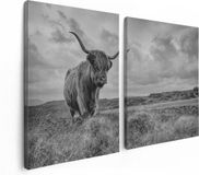 Artaza Canvas Schilderij Tweeluik Schotse Hooglander In De Wei - Zwart Wit - 120x80 - Canvas Print