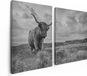 Artaza Canvas Schilderij Tweeluik Schotse Hooglander In De Wei - Zwart Wit - 120x80 - Canvas Print