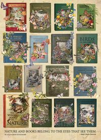 Cobble Hill Puzzle Nature Livres - 1000 Pièces