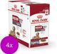 Royal Canin Shn Medium Ageing 10plus Pouch - Alimentation pour chien - 4 x 10x140 g