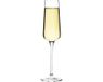 Olympia Claro Champagneflute Kristal 26cl CS467