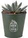 Sunnydays Emmer/plantenpot/bloempot - zink - legergroen - D23 x H22 cm