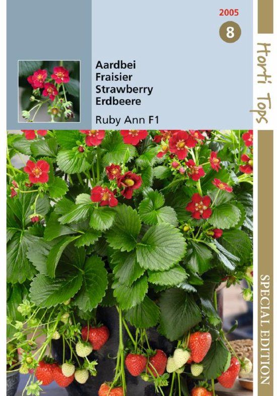 Hortitops Aardbeien Hangaardbei Ruby Ann F1 BV - Ca. 7 zaden