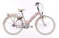 Hulzebos Cycle Parts B.V. Kruitbosch Zwolle B.V. Bfk 24" lots of love 3v mahogany roze mat - 24lot550