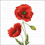 Ambiente Lunch Servetten - Proud Poppy