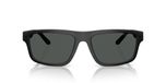 Emporio Armani EA 4244U Lunettes De Soleil Homme Noir Carrées Gris 57mm
