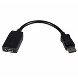 StarTech.com DisplayPort naar HDMI Video Adapter Converter