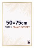 Dutch Frame Factory Fotolijst 50x100 cm Goud Aluminium