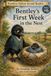 Bentley's First Week in the Nest