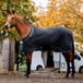Horseware Autumn Cooler Noir 165 221