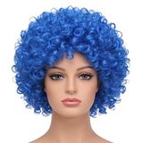 SHATCHI Afro-pruik, krullend haar, voor kostuumfeesten, discoaccessoires, uniseks, jaren 60, 70, 80, blauw