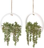 Sans marque Plantes artificielles suspendues - Décoration murale - 2 pièces - Vert - Plastique - 30 cm