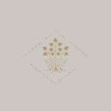 Konkurrent Elephant Micah - Where In Our Woods (CD)