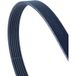 Contitech 6pk2190 Courroie trapézoïdale striée en polycondensé