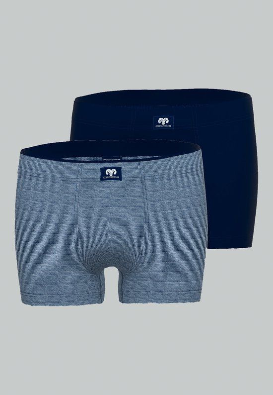 CECEBA Heren Slips - Gestreept - Single Jersey - 95% Biologisch Katoen, 5% Elastaan - Maat XXL