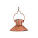 V-L7600-A Biscottini V-L7600-A Hanglamp, industrieel, rustiek, niet geëlektrificeerd, vintage kroonluchter van ijzer, antieke afwerking, 23 x 23 x 14 cm