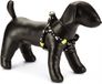 Beeztees Borsttuig Thunder Zwart 46-75cm x 20mm