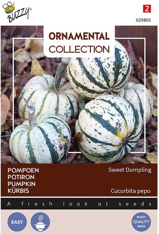 Buzzy Wintersquash Sweet Dumpling