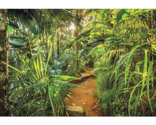 KOMAR Fotobehang papier Jungle Trail 368x254 cm