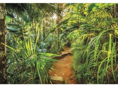 KOMAR Fotobehang papier Jungle Trail 368x254 cm