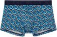 HOM - Boxer Briefs HO1 - Ralphy