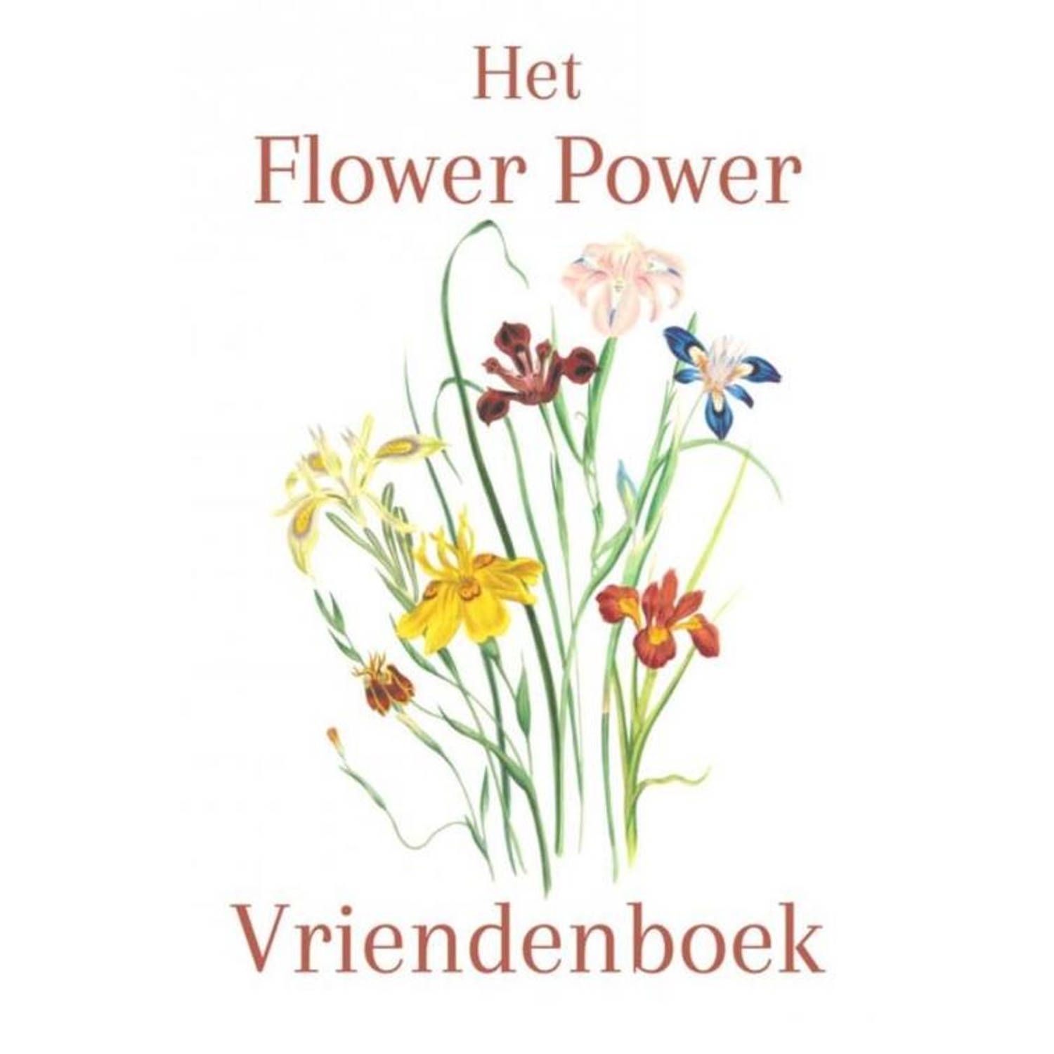 Vriendenboek - Meerkleurig