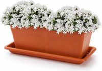 PLASTICFORTE Jardinière avec soucoupe de rétention d'eau - terre cuite - rectangulaire - 40 x 18 x 15 cm
