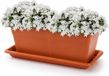 PLASTICFORTE Jardinière avec soucoupe de rétention d'eau - terre cuite - rectangulaire - 40 x 18 x 15 cm