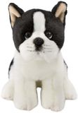 Nici Hond Boston Terriër Teddy 20 Cm Veelkleurig Kinderen