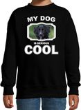 Bellatio Decorations Friese stabij Honden trui / sweater my dog is serious cool zwart - kinderen