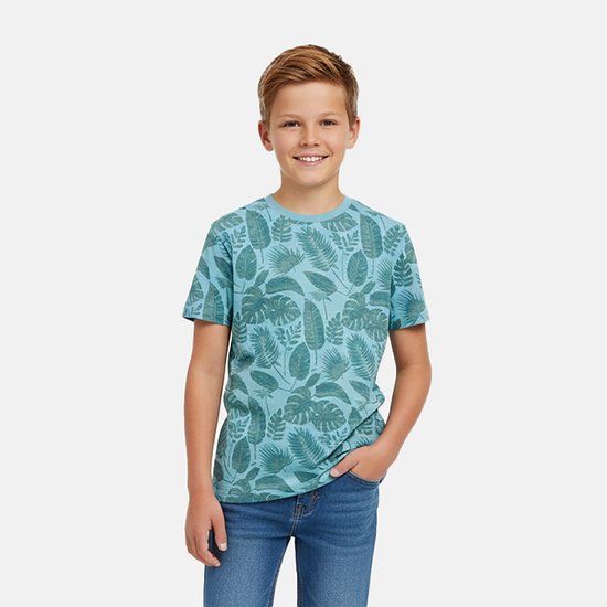 Cars Jeans T-shirt Tyor jr. - jongens - Maat 164 - Katoen - Mint